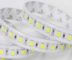 BÓNG LED DÂY