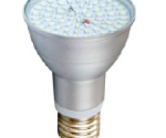 Bóng LED PAR Series